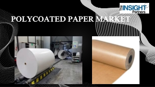 Polycoated Paper Market Key Players, Opportunities, and Forecast by 2031