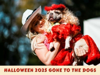 Halloween 2025 Gone to the Dogs