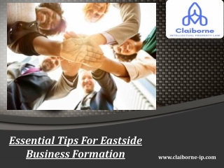 Essential Tips For Eastside Business Formation