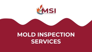 Professional Mold Inspection Services by MSI Protect Your Home Today