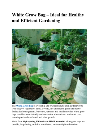 Green Grow Bag – Eco-Friendly & Durable Bags for Terrace Gardening