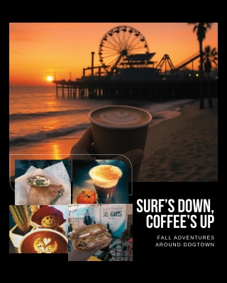Surf’s Down, Coffee’s Up Fall Adventures Around Dogtown