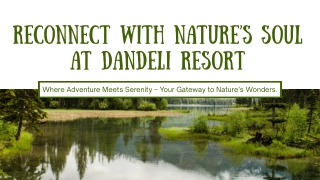 Reconnect with Nature’s Soul at Dandeli Resort