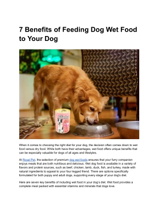 7 Benefits of Feeding Dog Wet Food to Your Dog