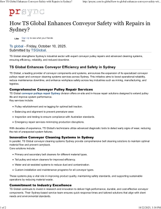 Conveyor Belt Efficiency and Safety in Sydney
