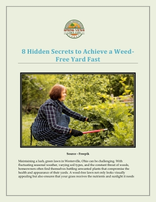 8 Hidden Secrets to Achieve a Weed-Free Yard Fast