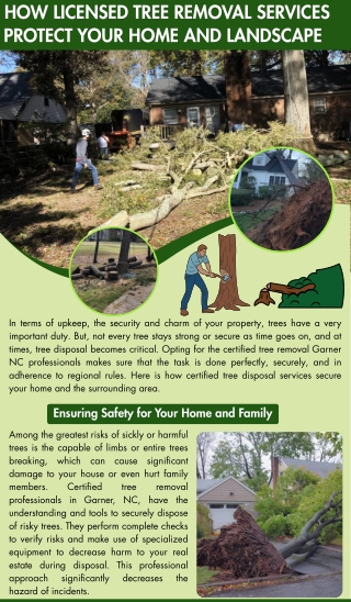 How Licensed Tree Removal Services Protect Your Home and Landscape