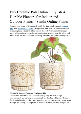 Buy Ceramic Pots Online | Stylish & Durable Planters – Santhi Online Plants