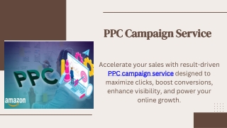 PPC Campaign Service