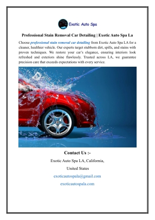 Professional Stain Removal Car Detailing | Exotic Auto Spa La
