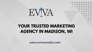 Trusted Marketing Agency in Madison, WI – Grow Your Business with Eviva