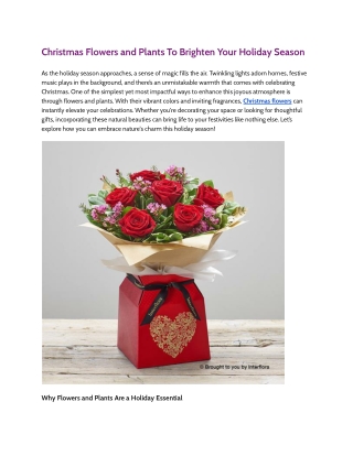 Christmas Flowers and Plants To Brighten Your Holiday Season