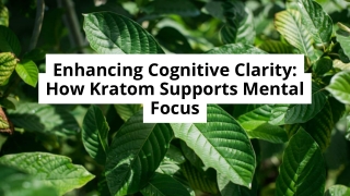 Enhancing Cognitive Clarity How Kratom Supports Mental Focus