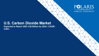 U.S. Carbon Dioxide Market