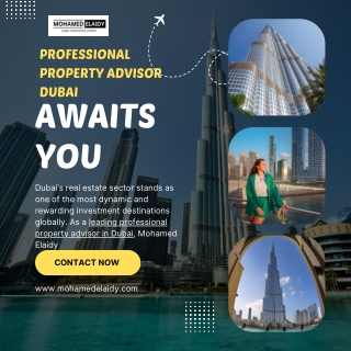 Professional Property Advisor Dubai