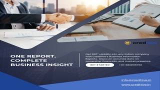 What is a business information report, and what information would I get in the same