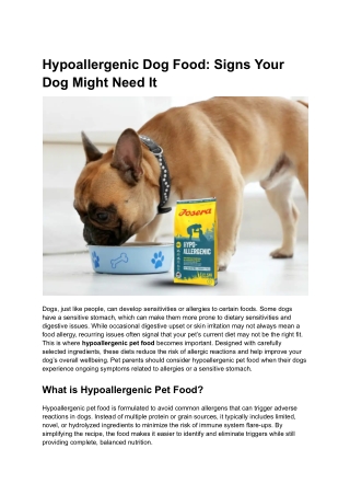 Hypoallergenic Dog Food_ Signs Your Dog Might Need It