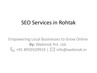 SEO Services in Rohtak