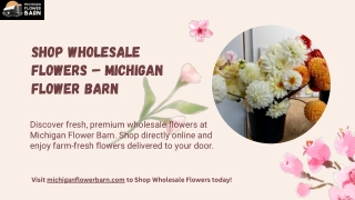 Shop Wholesale Flowers – Fresh Blooms, Affordable Prices