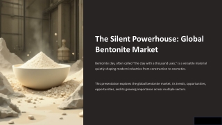Global Bentonite Market 2025 | Bentonite Clay Uses, Applications & Benefits