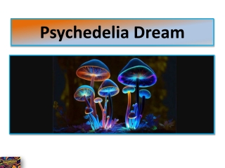 Buying MDMA Online What Every User Should Know