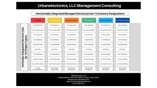 Horizontally Integrated, Vertically Integrated, Management Consulting