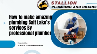How to make amazing plumbing Salt Lake’s services By professional plumber