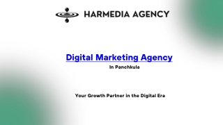 Digital Marketing Agency in Panchkula | HarMedia Agency