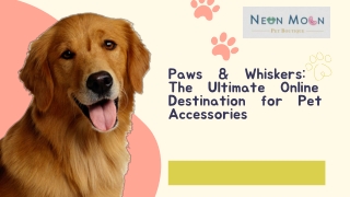 Paws & Whiskers The Ultimate Online Destination for Pet Accessories