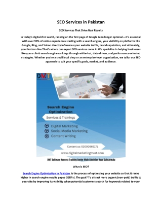 SEO Services in Pakistan