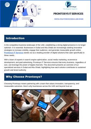 Prontosys IT Services Digital Solutions in Dubai & Abu Dhabi