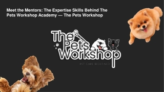 Meet the Mentors The Expertise Skills Behind The Pets Workshop Academy — The Pets Workshop