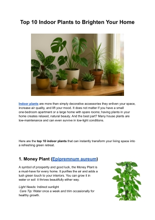 Top 10 Indoor Plants to Brighten Your Home