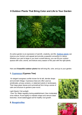 8 Outdoor Plants That Bring Color and Life to Your Garden