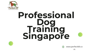 Professional Dog Training Singapore