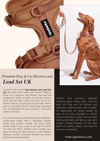 Premium Dog & Cat Harness and Lead Set UK – Adjustable, Stylish & Comfortable