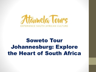 Soweto Tour Johannesburg Explore the Heart of South Africa
