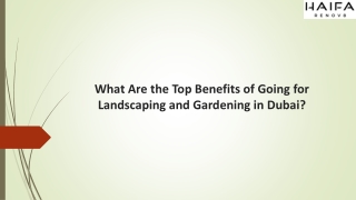 What Are the Top Benefits of Going for Landscaping and Gardening in Dubai?
