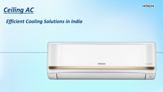 Hitachi 2 Ton Inverter AC