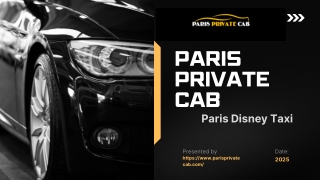 Paris Private Cab - Paris Disney Taxi