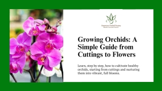 Growing Orchids A Simple Guide from Cuttings to Flowers