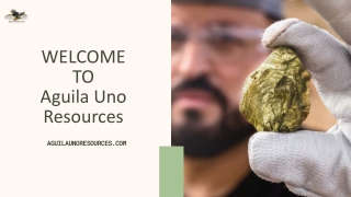 Gold Mining Consultants - Your Hidden Asset Beneath the Surface