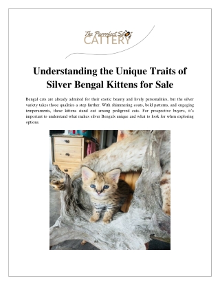Understanding the Unique Traits of Silver Bengal Kittens for Sale