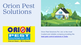 Creating Healthier Spaces Through Expert Pest Solutions