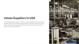 Valves Suppliers in USA - Fast Nationwide Delivery