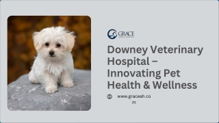 Downey Veterinary Hospital – Innovating Pet Health & Wellness
