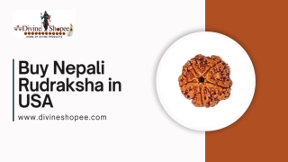 Divine Power – Buy Authentic Nepali Rudraksha in the USA from Divine shopee