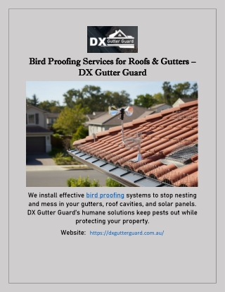 Bird Proofing Services for Roofs & Gutters – DX Gutter Guard