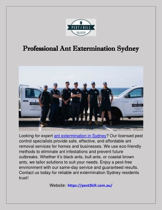 Professional Ant Extermination Sydney