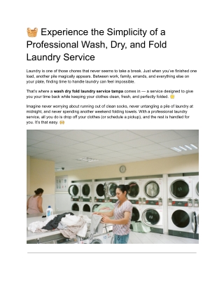 Experience the Simplicity of a Professional Wash, Dry, and Fold Laundry Service
